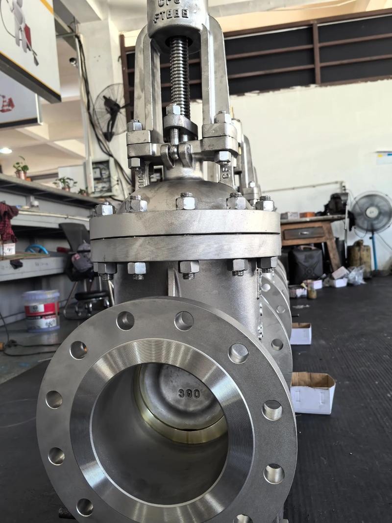 Stainless Steel Gate Valve Stainless Steel Gate Valve